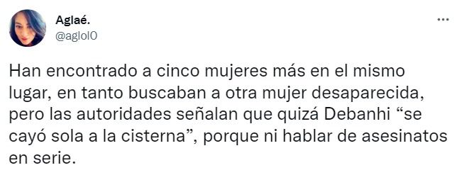¿Debanhi cayó a cisterna por su propio pie?