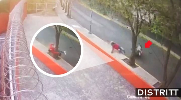 Motociclista derrapa y muere tras chocar contra un árbol en CDMX |VIDEO