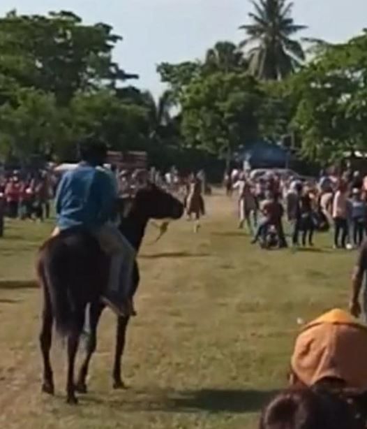 Carrera de caballos deja un hombre muerto en Tabasco |VIDEO