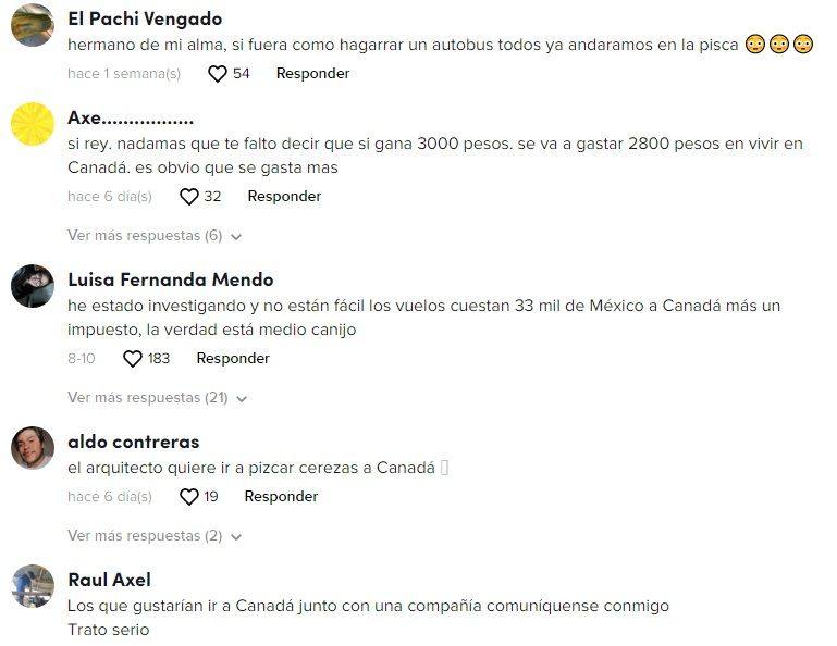 Video de sueldo en Canadá por recolectar cerezas divide opiniones