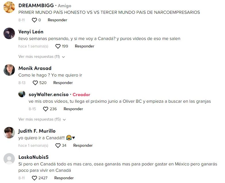 Video de sueldo en Canadá por recolectar cerezas divide opiniones
