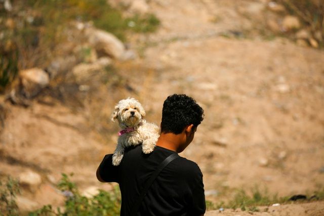 Brayan Pinto. Joven deja a perrita en México para cruzar a EU