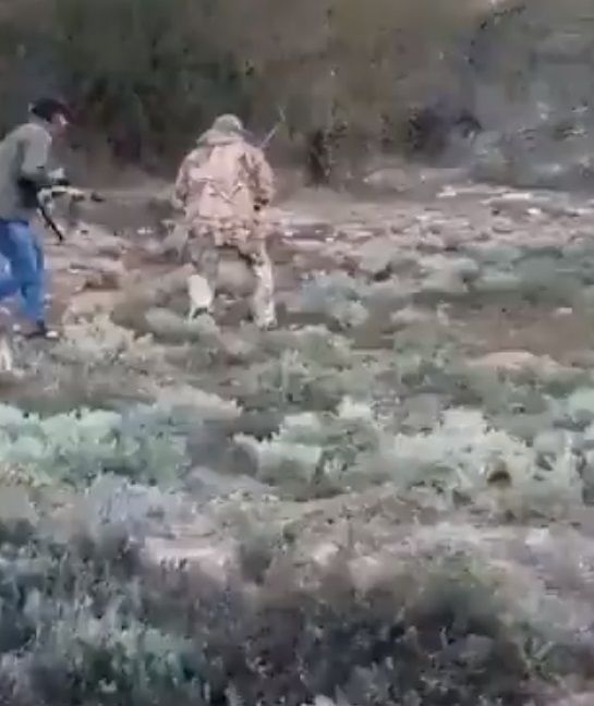 Difunden video del ataque de búfalo a cazador mexicano
