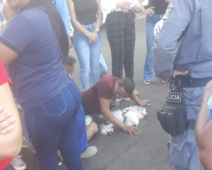 Perro del sargento fue atropellado durante pelea