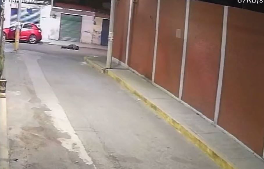 Edomex. Ladrones matan a joven para robarle su auto |VIDEO