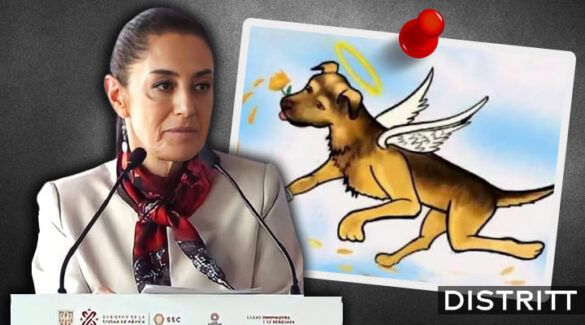 Sheinbaum lamenta muerte de perrito Scooby en Edomex