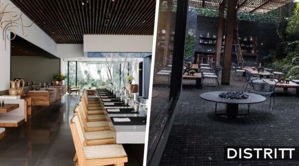 El Pujol | Testigos aseguran que una persona se quemó viva