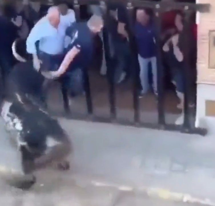 Hombre muere al recibir embestidas de toro