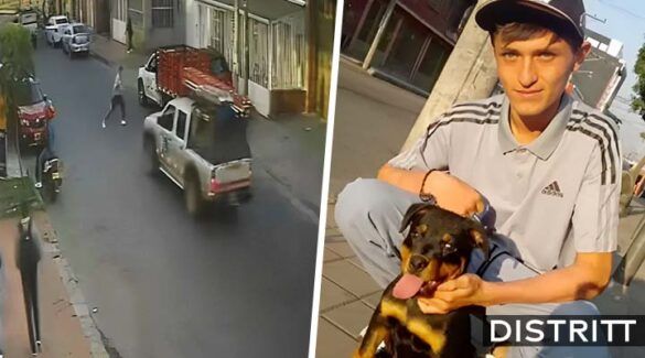 Futbolista pierde la pierta por salvar a su perro