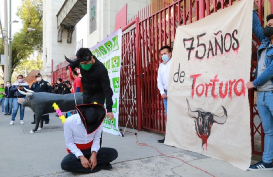 Activistas piden eliminar corridas de toros