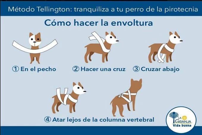 ¿Por qué la pirotecnia es dañina para los perros?