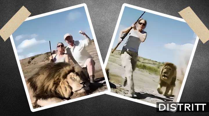 León ataca a cazadores mientras se tomaban una foto