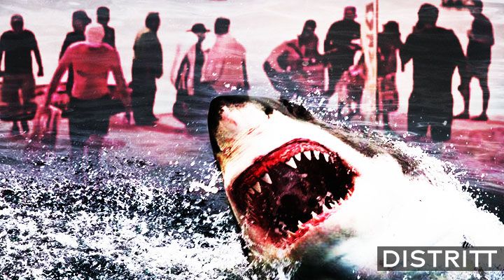 Tiburón muerde a mujer y la mata en Jalisco