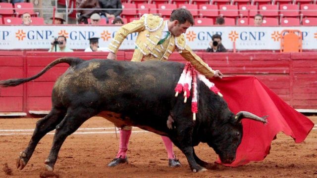 Por unanimidad SCJN suspende prohibición de las corridas de toros