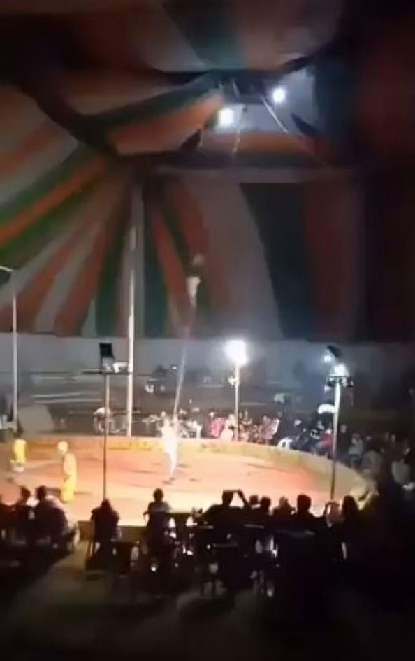 acróbata muere en accidente en circo