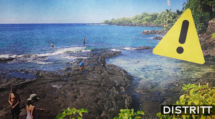 Descubren extraña criatura marina en la orilla de una playa