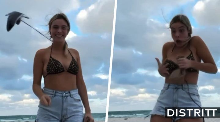 Gaviota casi le arranca el bikini a Lele Pons