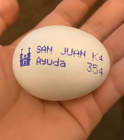 Mensaje de ayuda en huevo