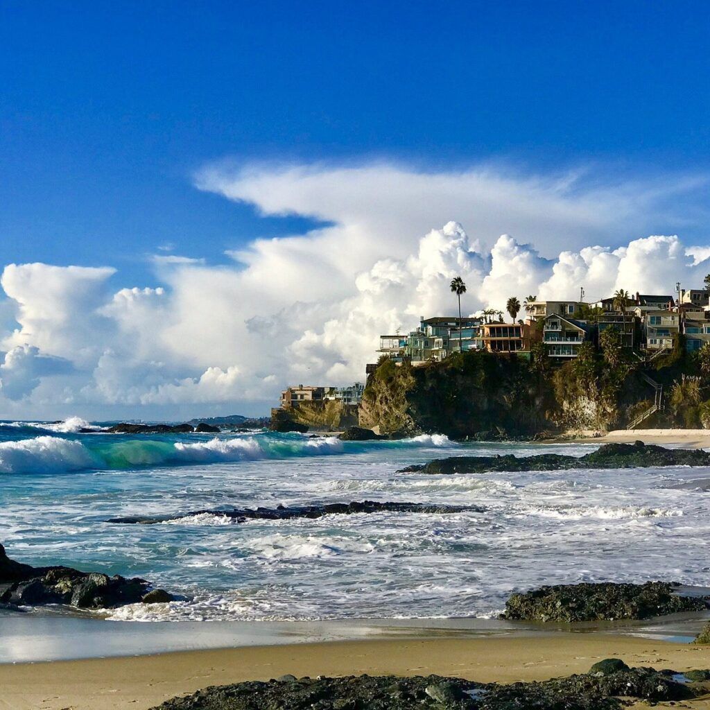 Mujer encuentra extraña criatura en playa de Australia