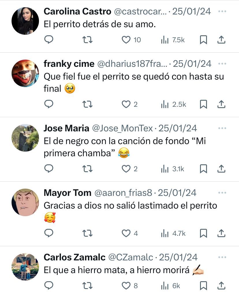 Comentarios de pelea en Brasil