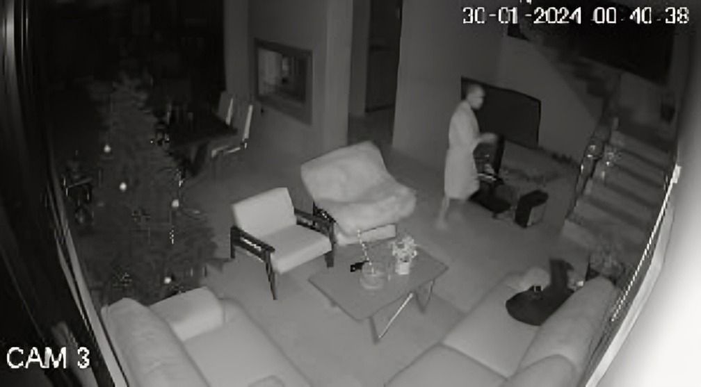 Hombre había bajado a la cocina cuando la perrita le habló