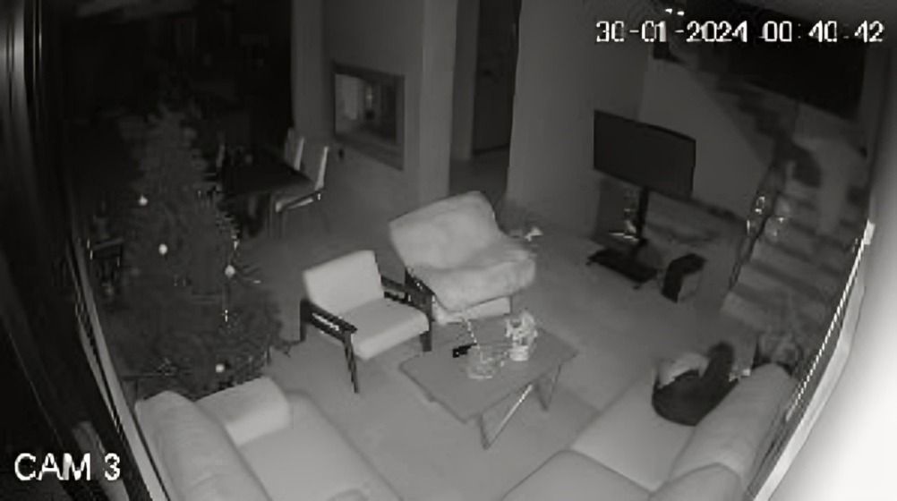 hombre sale huyendo tras escuchar a su mascota hablando