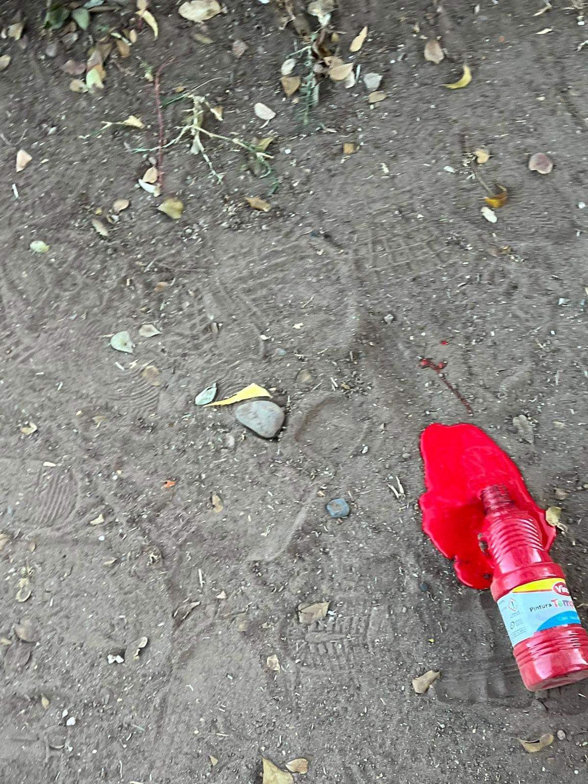 ¿Qué pasó con la novia tras quedar manchada de pintura?