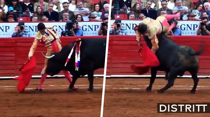 Torero Héctor Gutiérrez sufre cornada en Plaza México