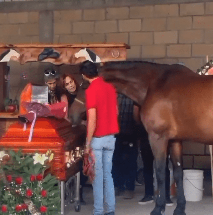 Así luce Cuacolandia tras muerte de Elena Larrea