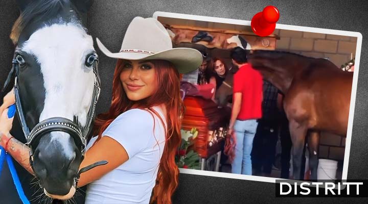 Así luce Cuacolandia tras muerte de Elena Larrea