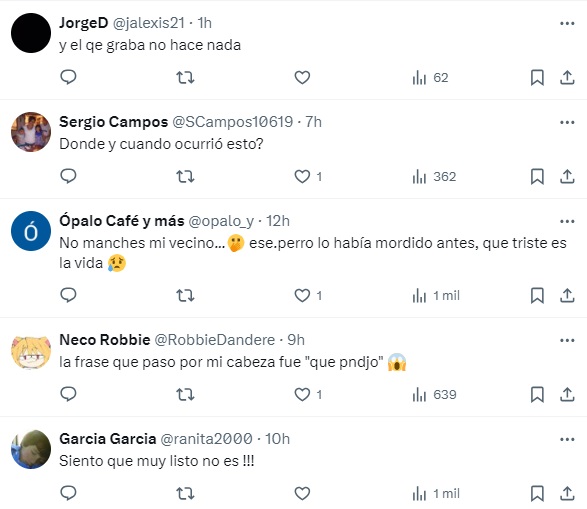 Reacciones sobre hombre atropellado por juego mecánico