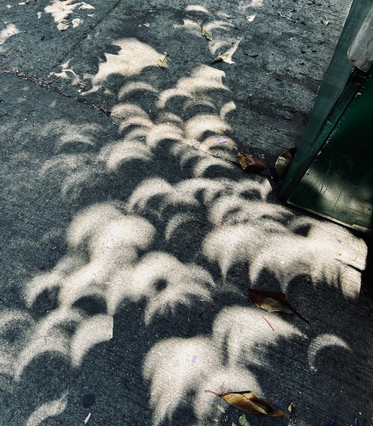 Las mejores fotos del eclipse solar 2024