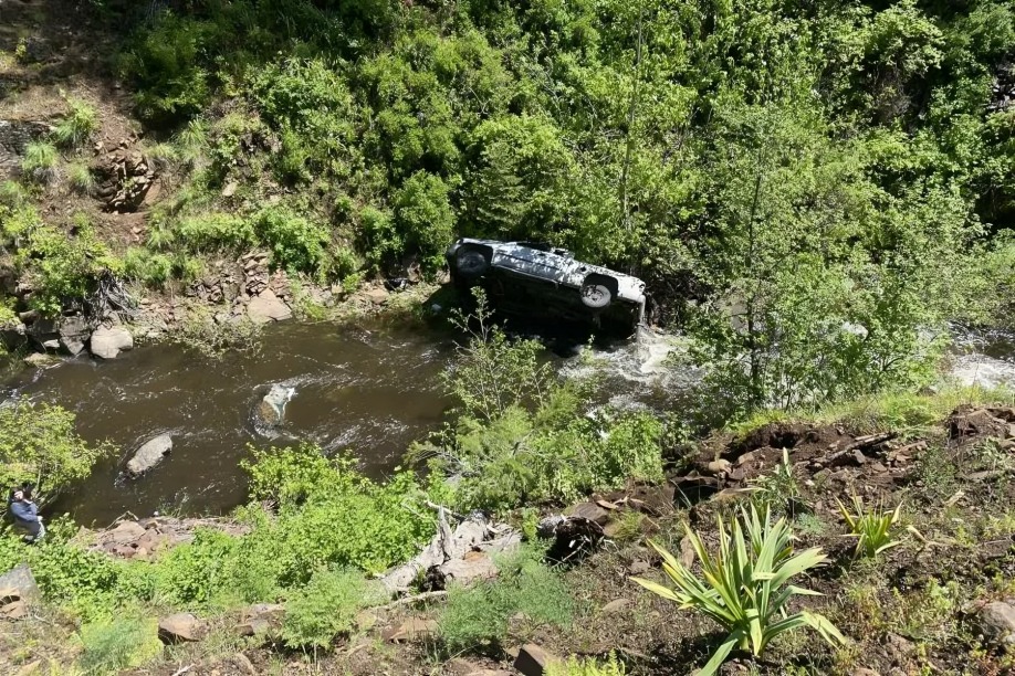 hombre cae a barrando con sus perros