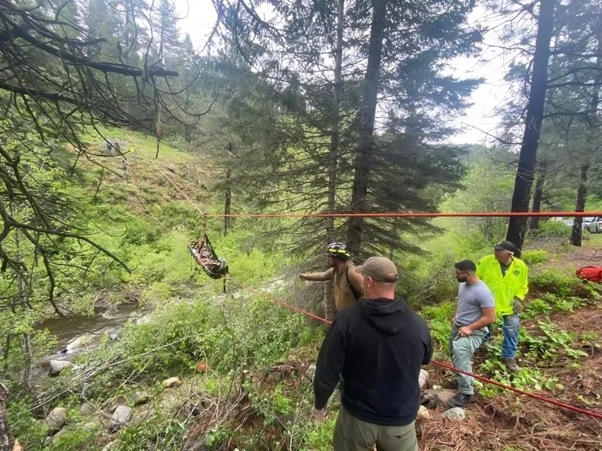 hombre ys us perros se dirigian a campamento