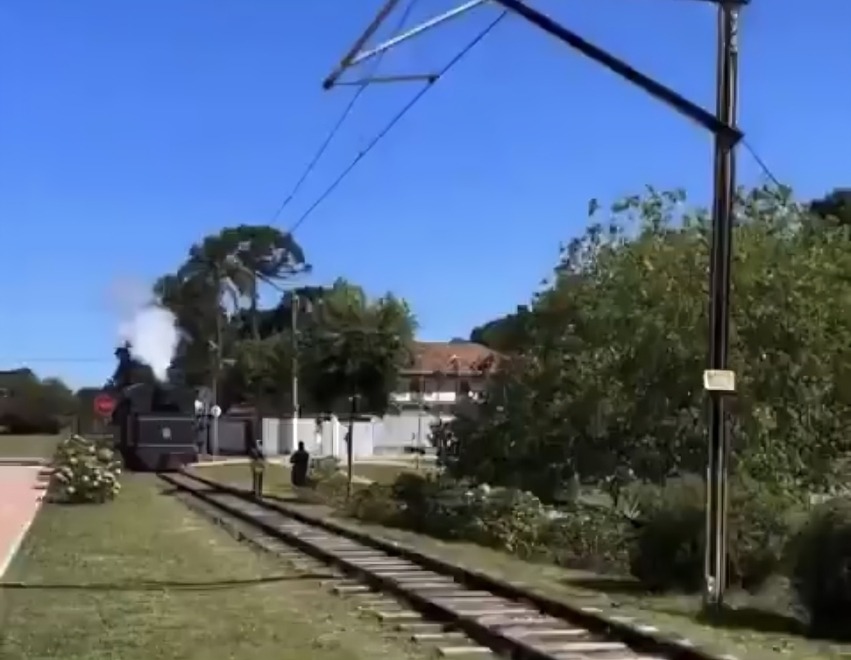 Mujer busca selfie en tren