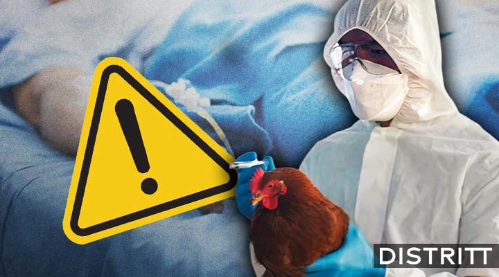 OMS confirma primer muerte por gripe aviar H5N2 en México