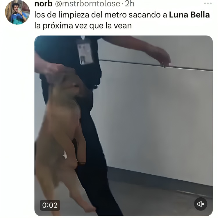 Comentarios contra Luna Bella