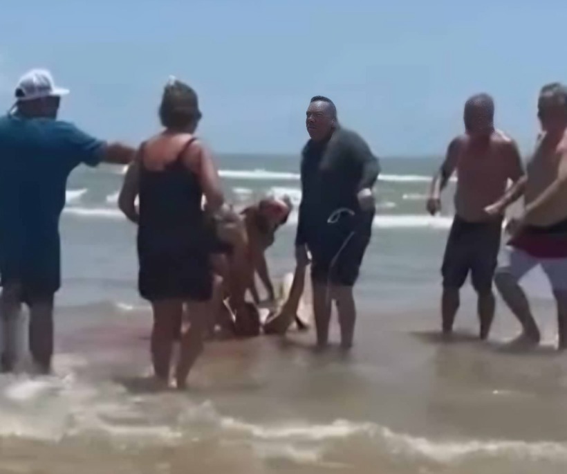 registran ataque de tiburón