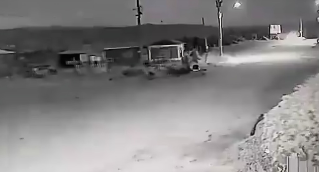 Captan a perro convirtiéndose en humano
