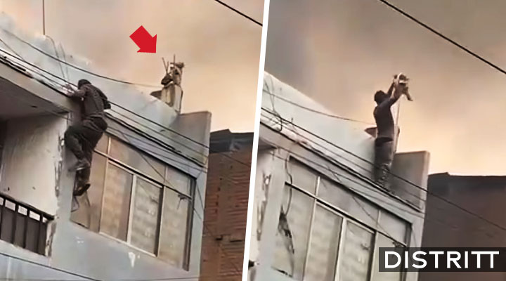 Hombre escala y salva a perro durante incendio |VIDEO