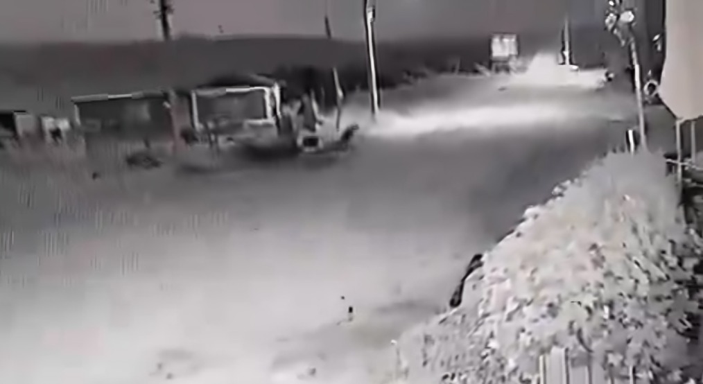 Perro se transforma en humano a mitad de la noche
