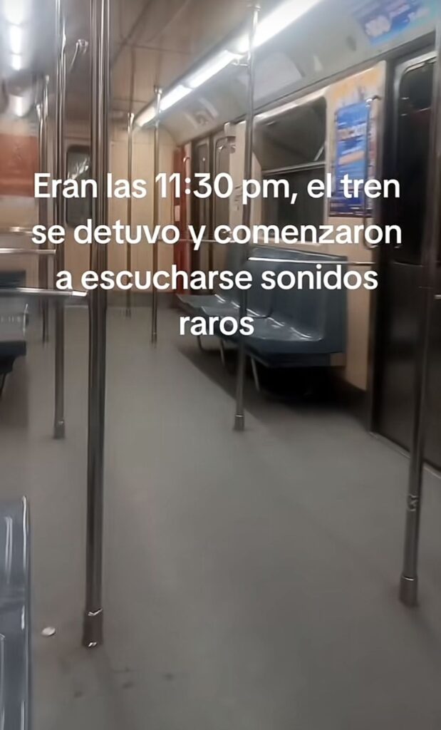 Usuario del metro capta gritos en vagón 