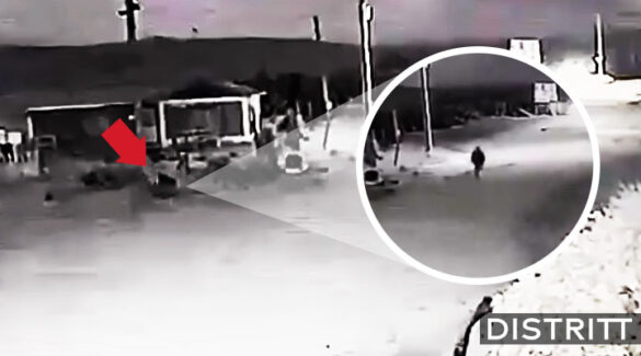 Video perro se transforma en humano aterra a internat