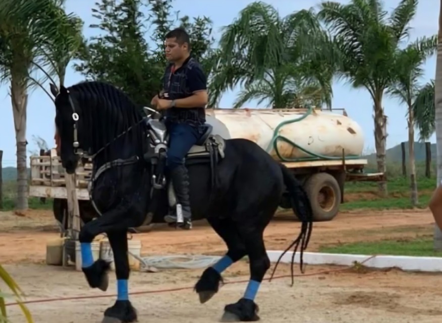 ¿Quién era El Jasper?