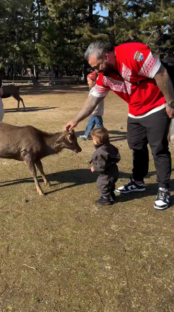 Venado embiste a niño y papá no hace nada