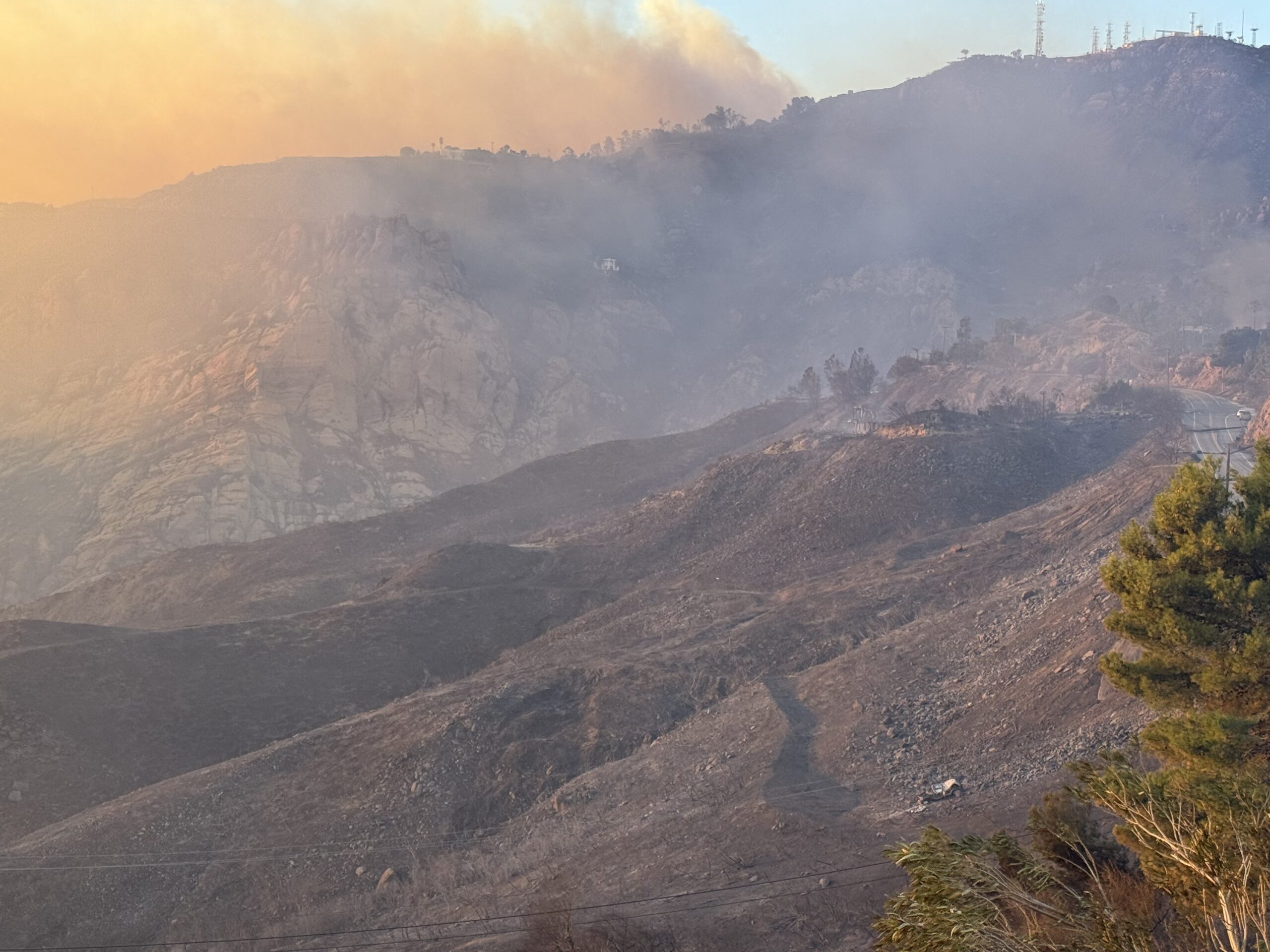 Rory Sykes muere en incendio en Estados Unidos