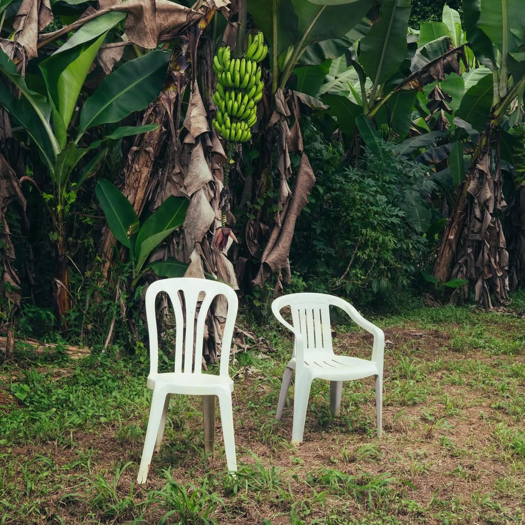 Lo que pasó en Hawaii. Historia de la canción de Bad Bunny