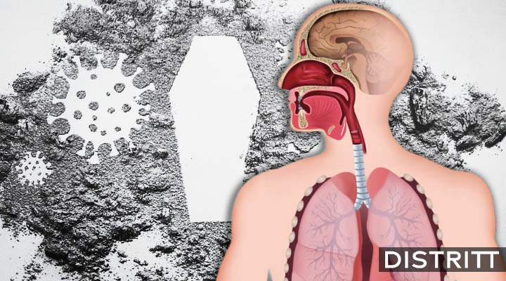 ¿Qué es y cómo se propaga el Metapneumovirus humano?