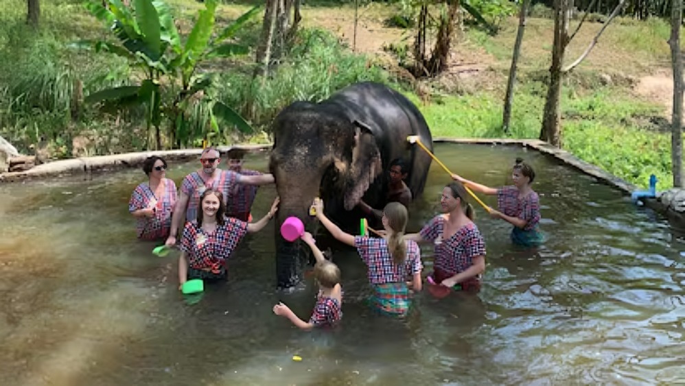 Turista intentaba bañar a elefante