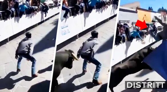 Captan el momento en el que toro embiste a niño